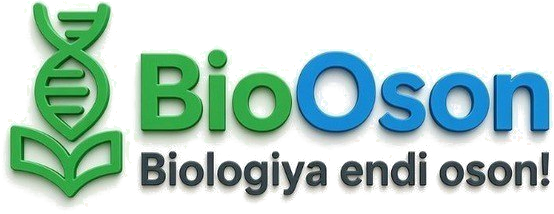 BioOson